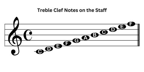 What Does Treble Mean in Music, and Why Do Birds Sing in Treble Clef?